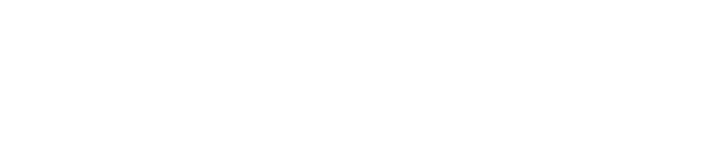 Fincon Logo